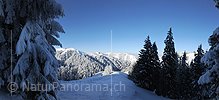 P005927: Panoramabild Winterlandschaft