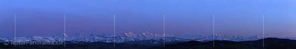 P006089: Panorama Abend über den Berner Alpen