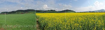 P006107: Panorama Frühlingslandschaft im Emmental