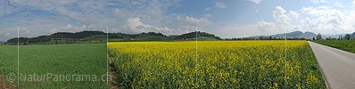P006108: Panorama Frühlingslandschaft