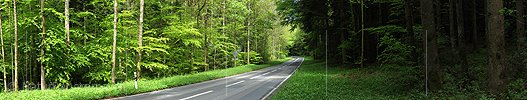 P006131: Panorama Strasse in Wald