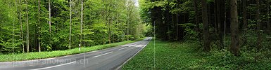 P006132: Grosspanorama Strasse in Wald