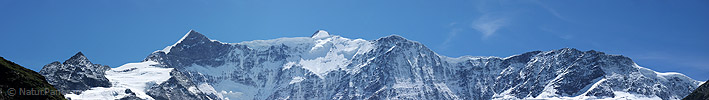 P006598: Panoramabild Ochs, Gross Fiescherhorn, Walchergrat und Walcherhorn