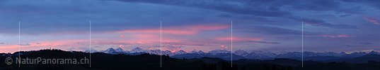 P006904: Panoramabild Morgenstimmung mit gefärbten Wolken über den Berner Alpen