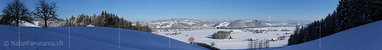 P007004: Panoramic picture freshly snow-covered hill scenery