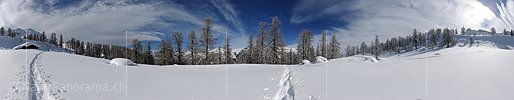 P007226: 360 ° panoramic gigapixel picture lights larch forest in winter
