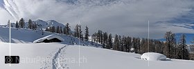 P007226b: Panoramabild Tief verschneite Alphütte in Winterlandschaft