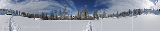 P007226d: 360 ° Gigapixel photo Lights larch forest in winter