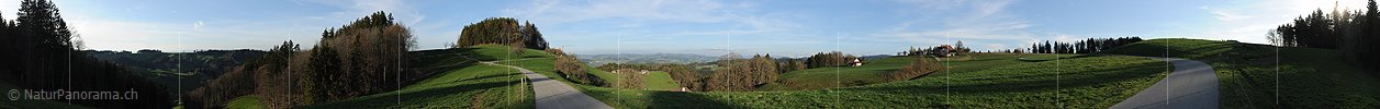 P007283: Panoramabild Nebenstrasse in Emmentaler Hügellandschaft