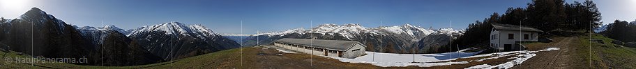 P007363: Panoramabild Alpe Frid oberhalb Ernen