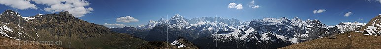 P007521: Gipfelpanoramabild Wasenegg, Mürren