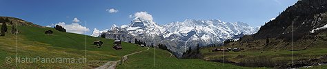 P007530: Panoramabild Spilbodenalp, Mürren