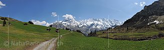 P007533: Panoramafoto Alpweide bei Mürren (Jungfrauregion)