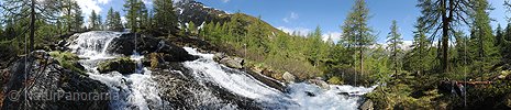 P007622: Panorama Wasserfall in lichtem Lärchenwald (Bergbach)