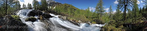 P007627: Panoramabild Wasserfall in lichtem Lärchenwald (Bergbach, Langzeitbelichtung)