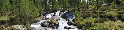 P007645b: Panoramafoto Gestufter Bergbach in Naturlandschaft