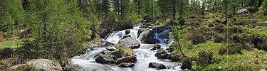 P007645d: Panoramafoto Gestufter Bergbach in Naturlandschaft