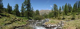P007648: Panoramafoto Bergbach in Naturlandschaft