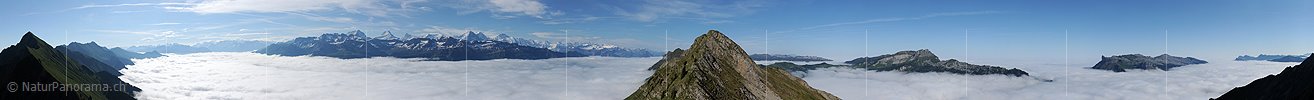 P007711: Gipfelpanorama Schnierenhörnli (Brienzergrat)