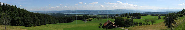 P007754: Panoramabild Zürichsee vom Albispass