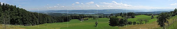 P007754a: Panoramabild Zürichsee vom Albispass