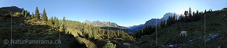 P008446: Panoramabild Morgenstimmung über dem Lauterbrunnental