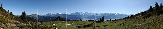 P008672: Panoramabild Blick vom Gemmenalphorn (Berner Oberland) Richtung Berner Alpen