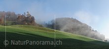 P008795: Panorama autumn morning in hilly landscape
