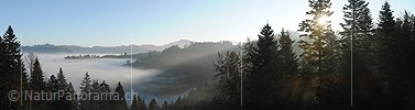 P008802: Panoramabild Morgen an der Nebelgrenze