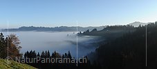 P008803: Panorama morning atmosphere on the fog line
