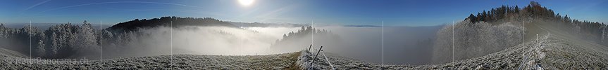 P008840: Panorama Raureif an der Nebelgrenze