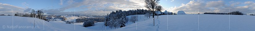 P008933: Panoramabild Winterabend in Hügellandschaft (Emmental)