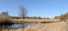 P009103: Panoramabild Auenlandschaft