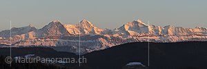 P009153a: Panoramafoto Eiger, Mönch und Jungfrau
