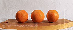 P009361: Panoramafoto Orangen (Früchte)