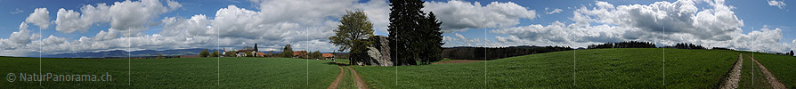 P009421: Panoramabild Findling auf dem Steinhof