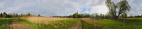 P009522: 360° Panoramafoto einer Riedlandschaft
