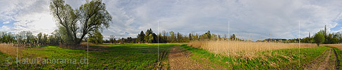 P009522a: 360° Panoramafoto einer Riedlandschaft