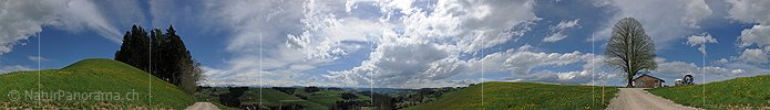 P009552: Panoramabild Freundlicher Wolkenhimmel über Hügellandschaft