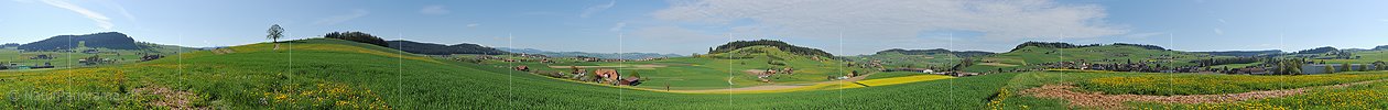 P009631: 360° Panoramic photo of a lovely spring landscape