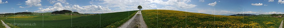 P009644: Panorama Frühlingslandschaft