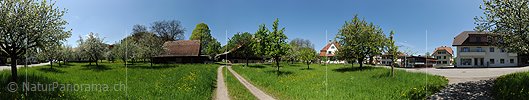 P009656: Grosspanorama Obstgarten in Dorf