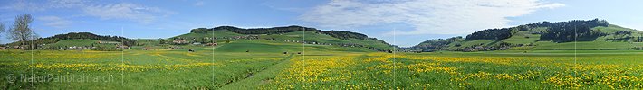 P009661: Gigapixel Panoramic image Spring in hills