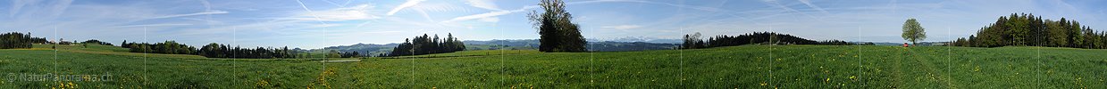 P009703: 360° Panoramic meadow in the Emmental