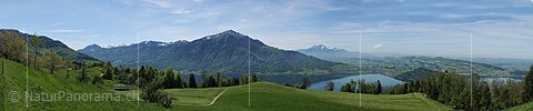 P009757: Panoramabild Rigi und Zugersee vom Walchwilerberg
