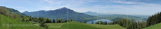 P009757a: Panoramabild Rigi und Zugersee vom Walchwilerberg