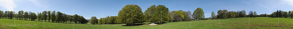 P009784a: Panoramabild Buchen auf Juraweide