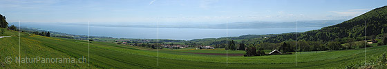 P009786: Panorama Neuenburgersee