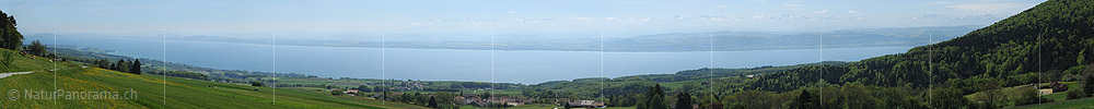 P009786a: Panoramabild Neuenburgersee
