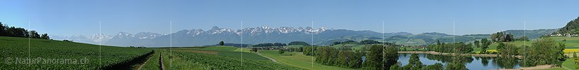 P009792d: Panoramabild Kulturlandschaft am Gerzensee